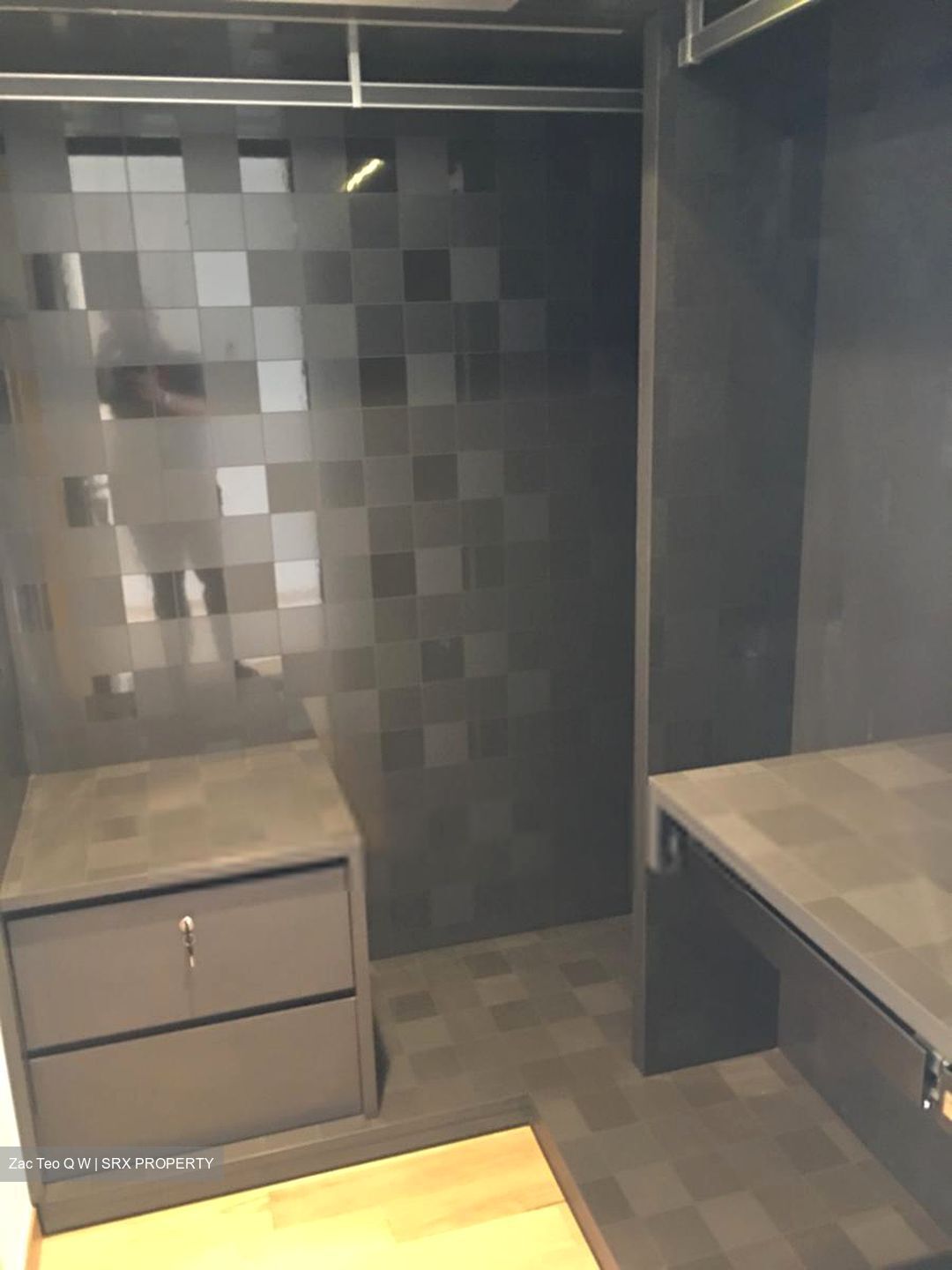 Cairnhill Nine (D9), Apartment #274545711